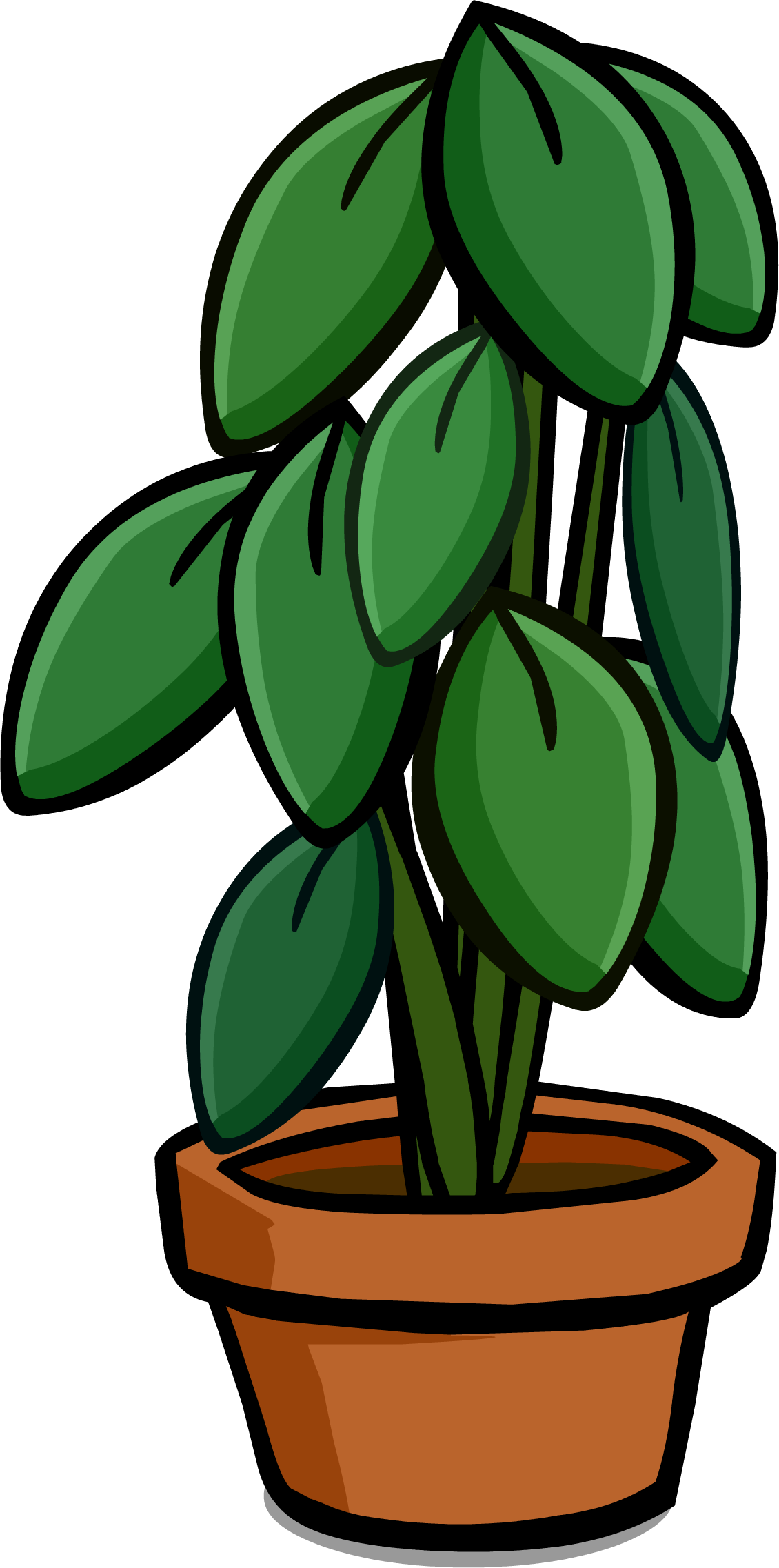 Large House Plant - Large House Plant (1130x2274)