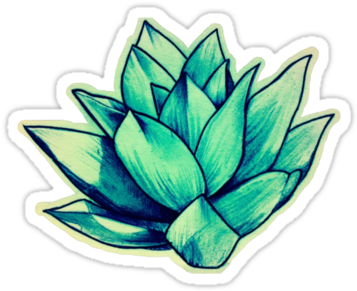 Succulent Sticker On Redbubble - Stickers Tumblr Art (375x360)