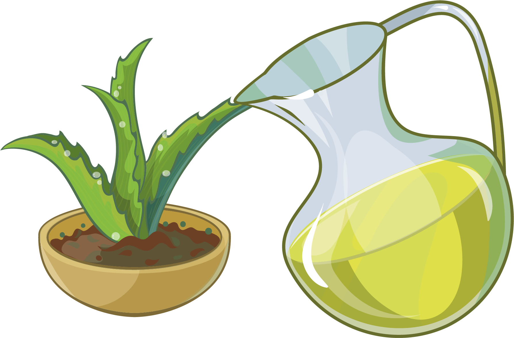Aloe Succulent Plant - Aloe Succulent Plant (1889x1264)