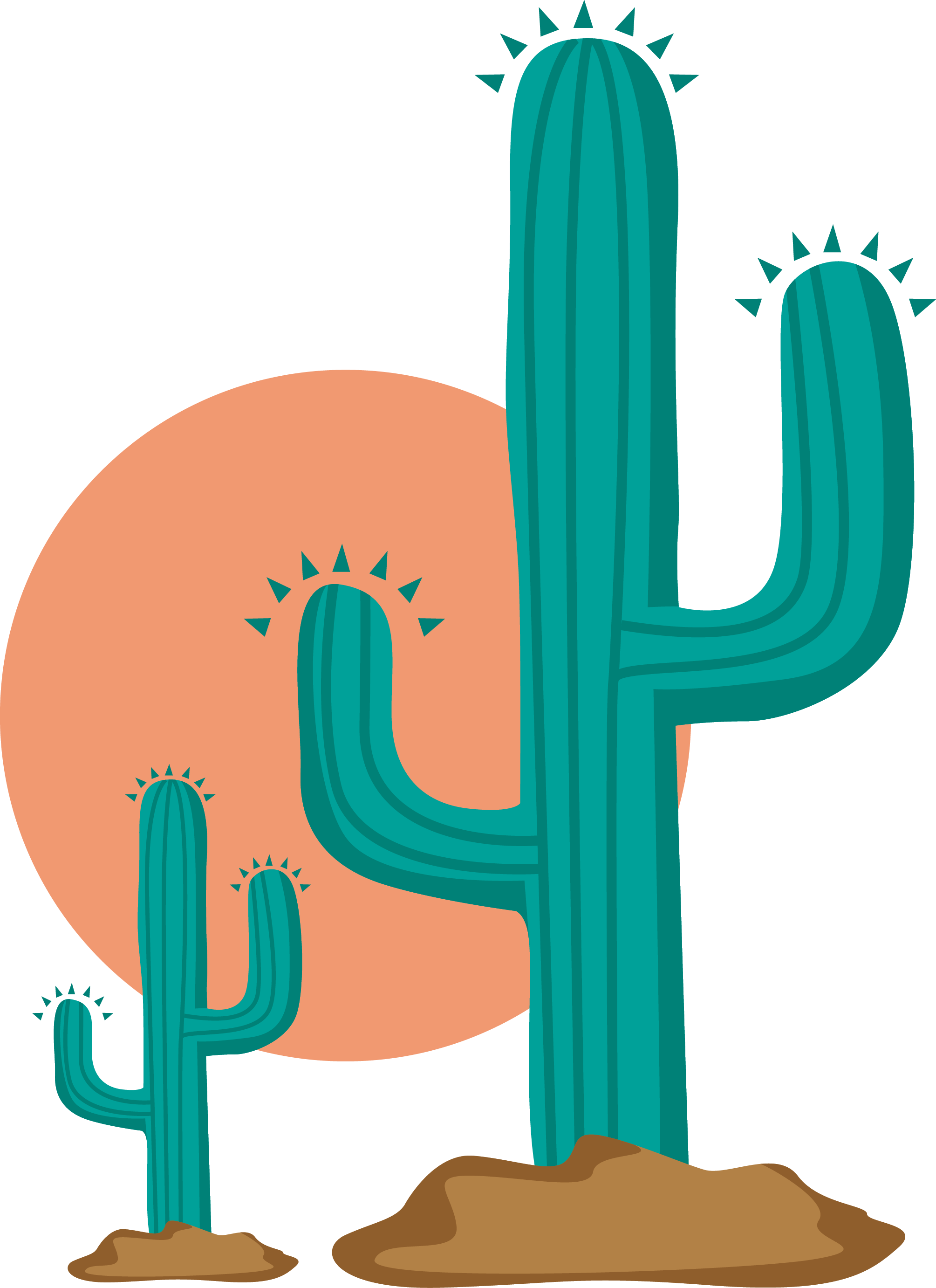 Cactaceae Clip Art - Cactus Png (2009x2763)