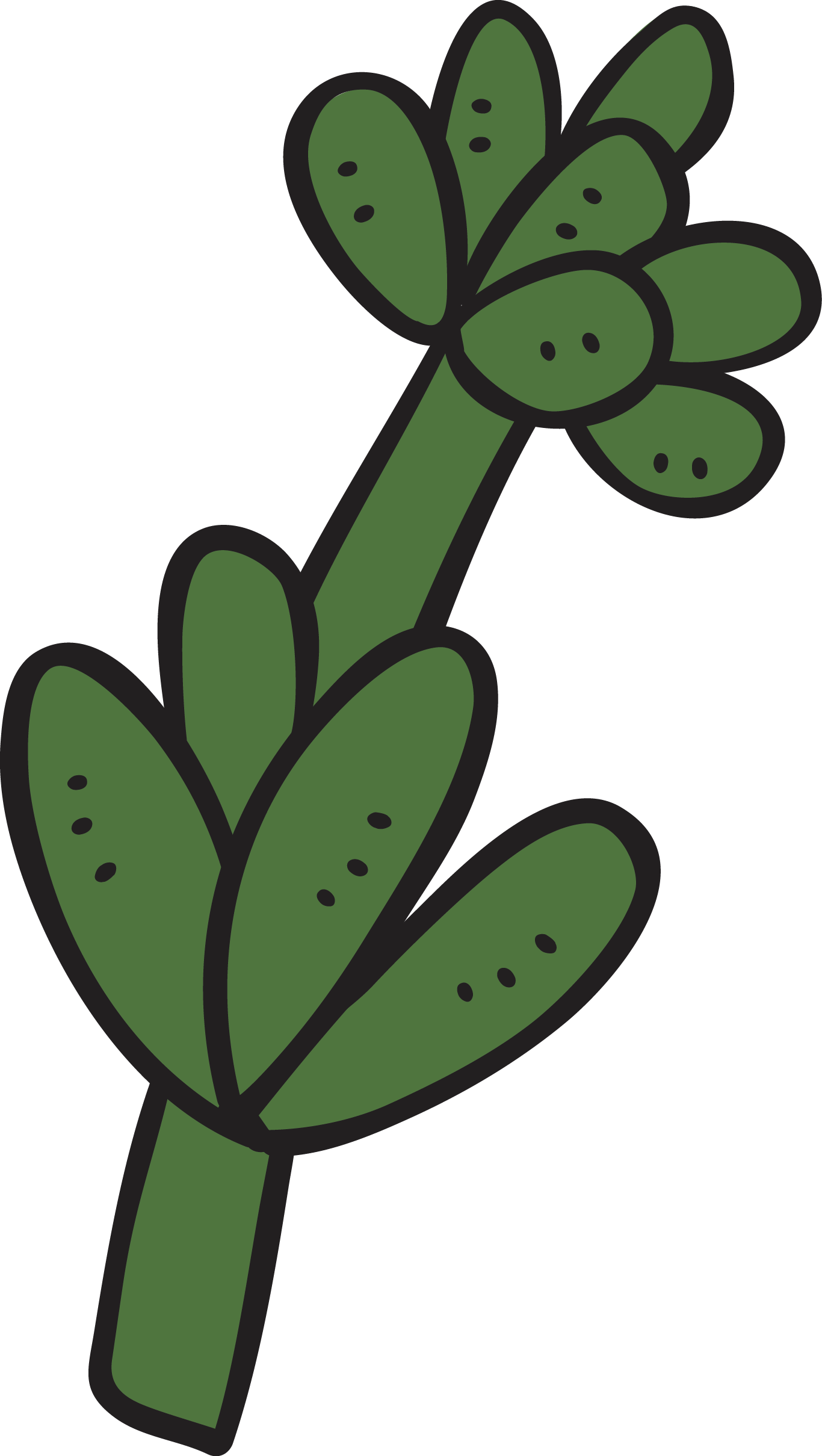 Cartoon Succulent Plant Cactaceae - Cartoon Succulent Plant Cactaceae (1366x2419)