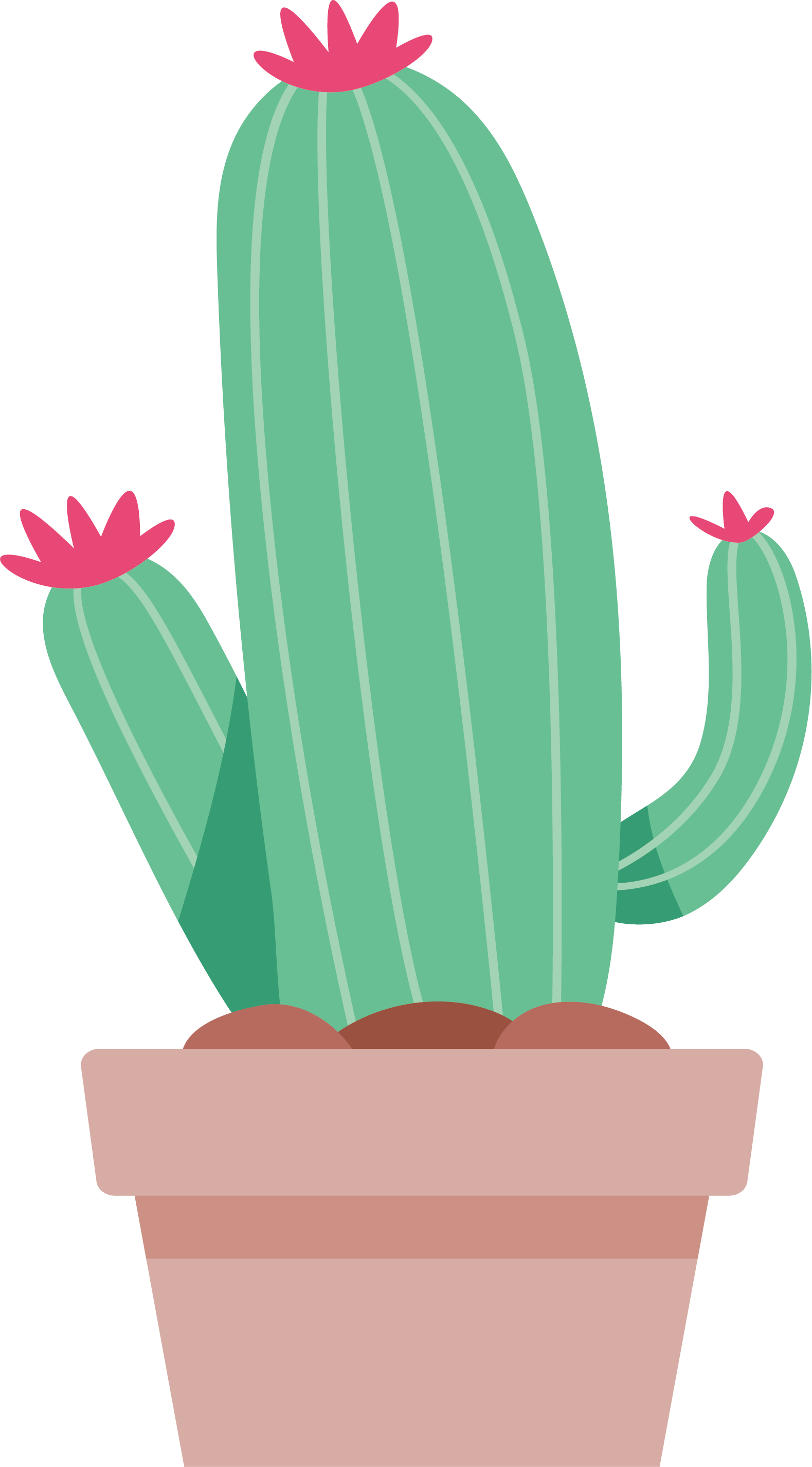 Cactaceae Euclidean Vector Clip Art - Cactaceae Euclidean Vector Clip Art (1579x2852)