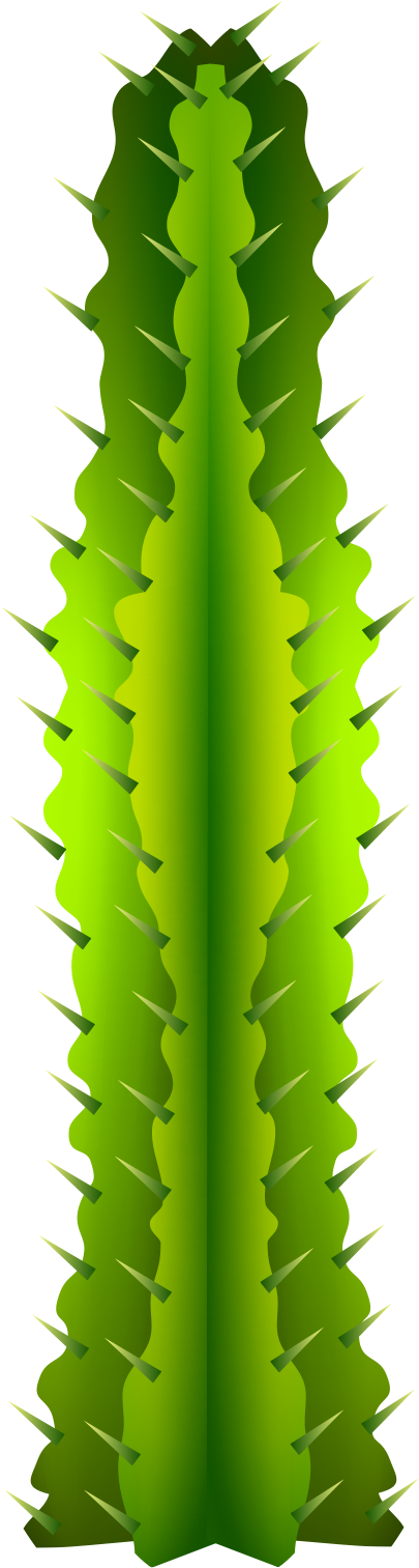Cactaceae Clip Art - Cactus (700x1555)