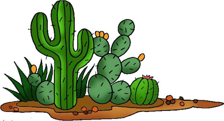 Cactaceae Saguaro Prickly Pear Clip Art - Cactus Clipart (800x456)