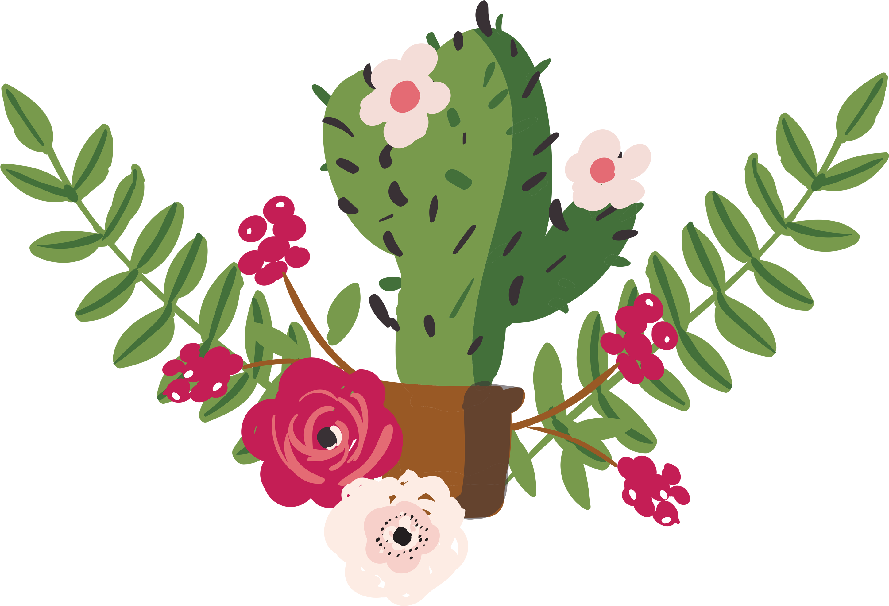 Drawing Cactaceae Painting - Cactus & Rose (3000x3000)