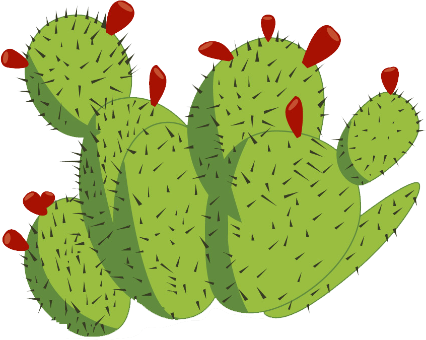 Cactaceae Barbary Fig - Cactaceae Barbary Fig (1001x677)