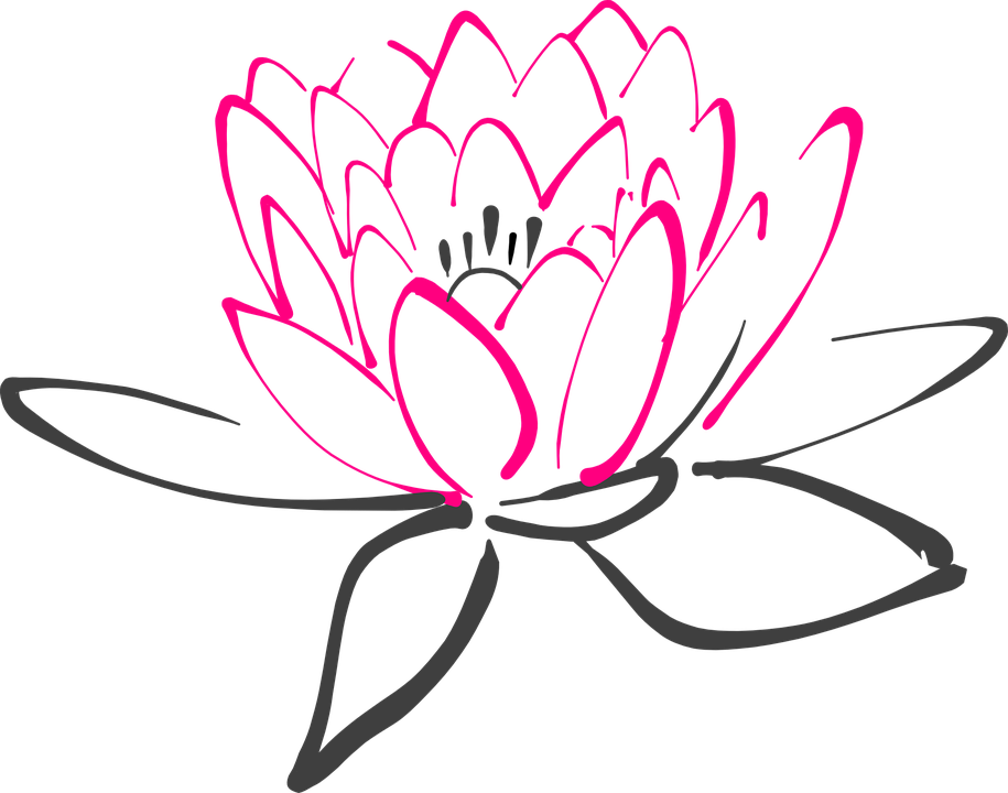Lotus Clipart Lily Pad Flower - Water Lily Vector Png (915x720)