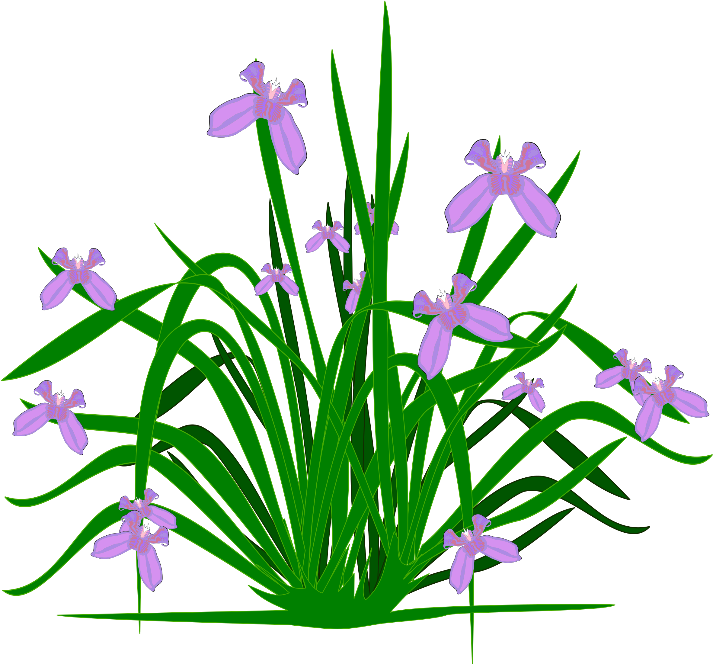 Big Image - Plants And Flowers Clipart (2400x2400)