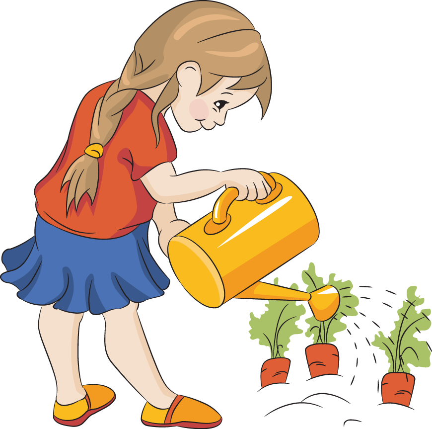 Picture Of Carrots - Watering The Plants Clipart (870x863)