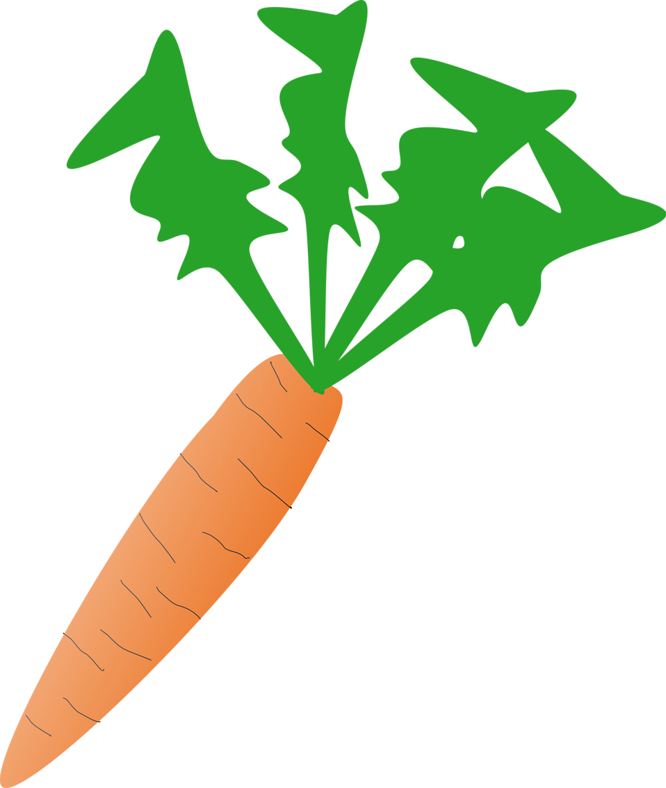 Carrot Clip Art (1082x1280)