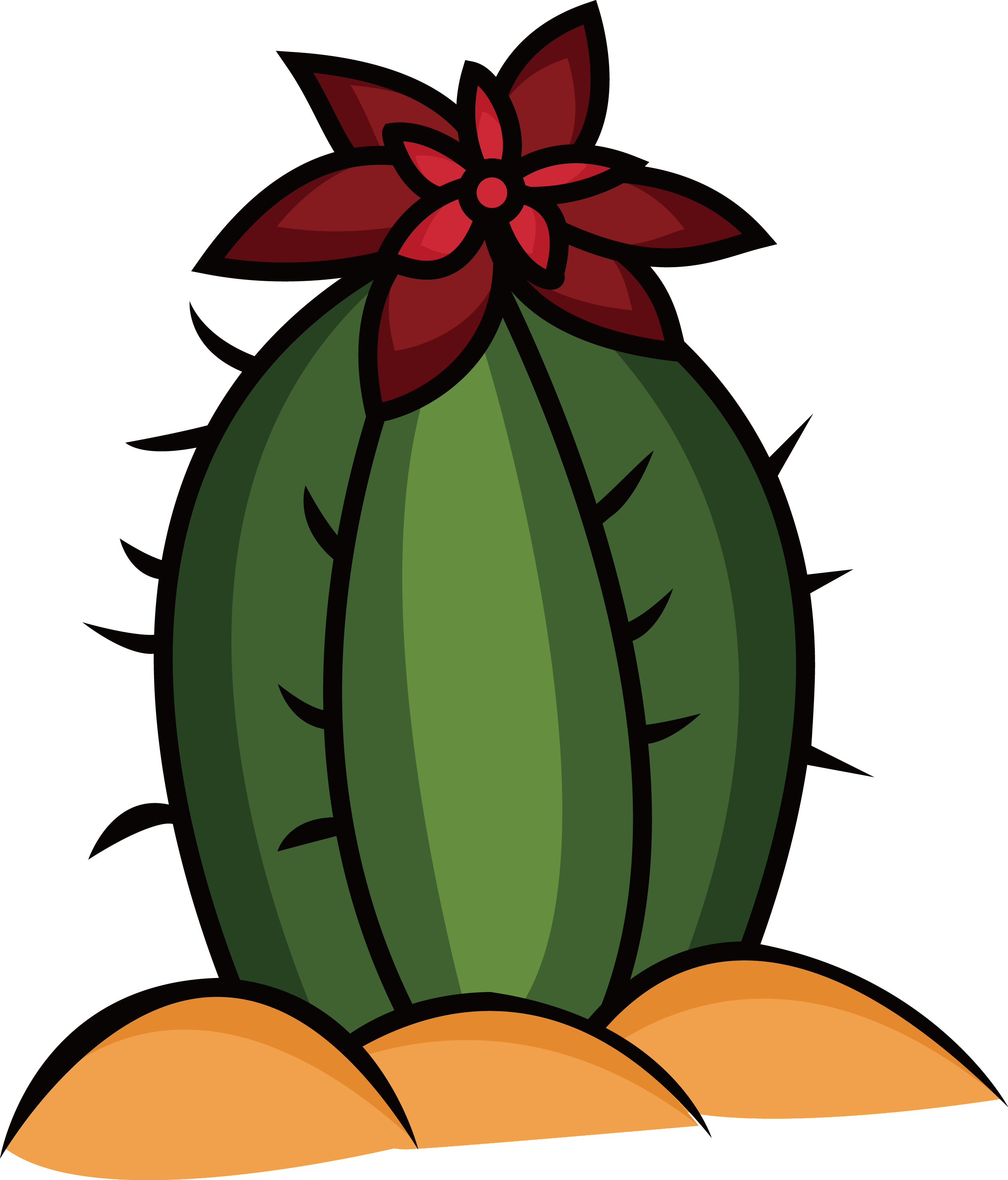 Cactaceae Drawing Illustration - Cactaceae Drawing Illustration (2520x2950)