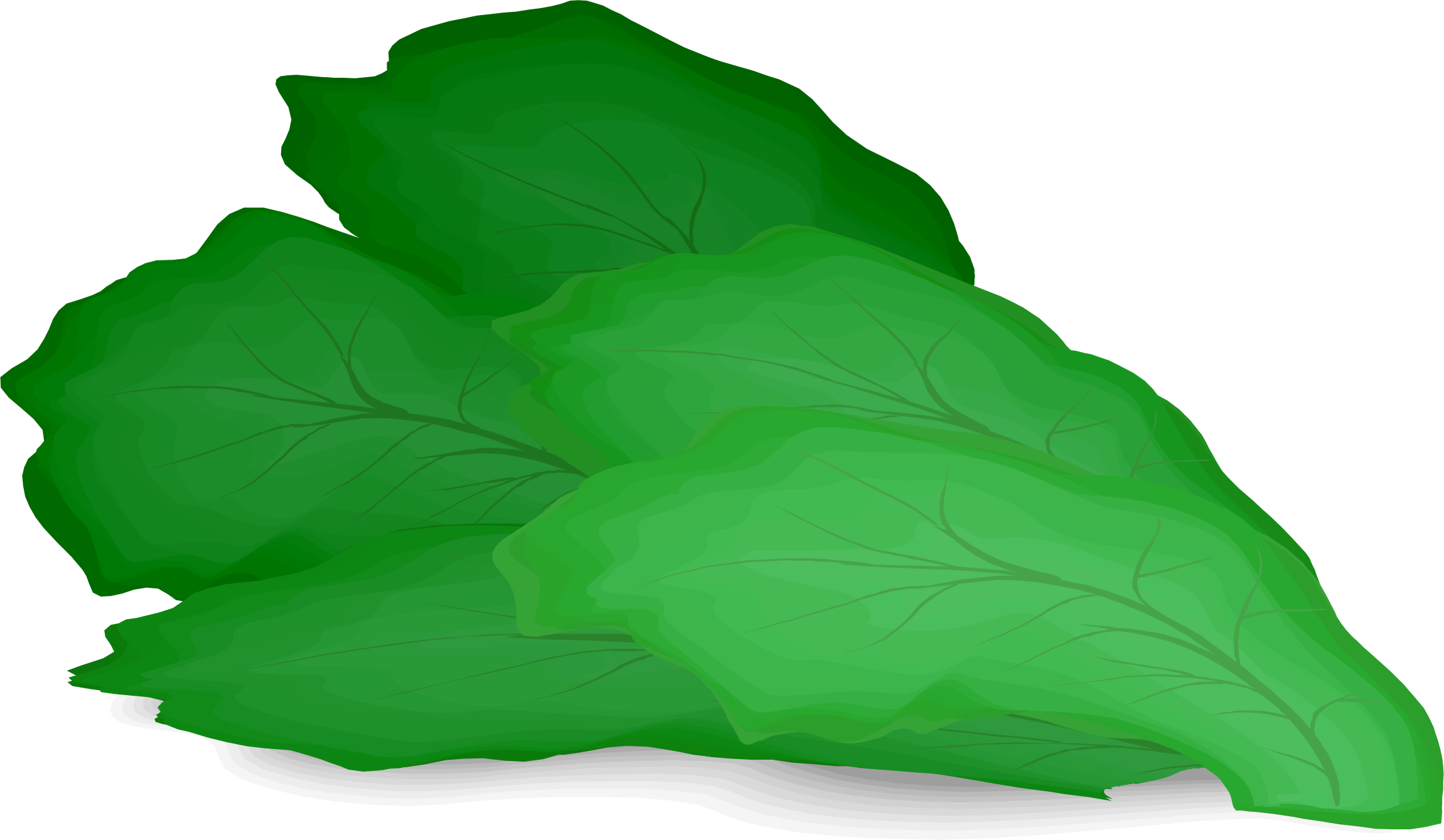 Big Image - Lettuce Clipart (2301x1339)