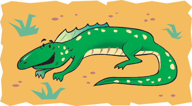 Desert Animal Habitat Game Sort The Animals That Do - Animals In The Desert Clipart (647x360)