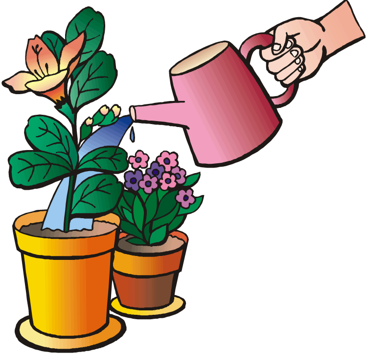 Watering Plants Clipart - Uses Of Water Cartoon (750x724)