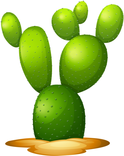 1 - Opuntia Dibujo (682x800)