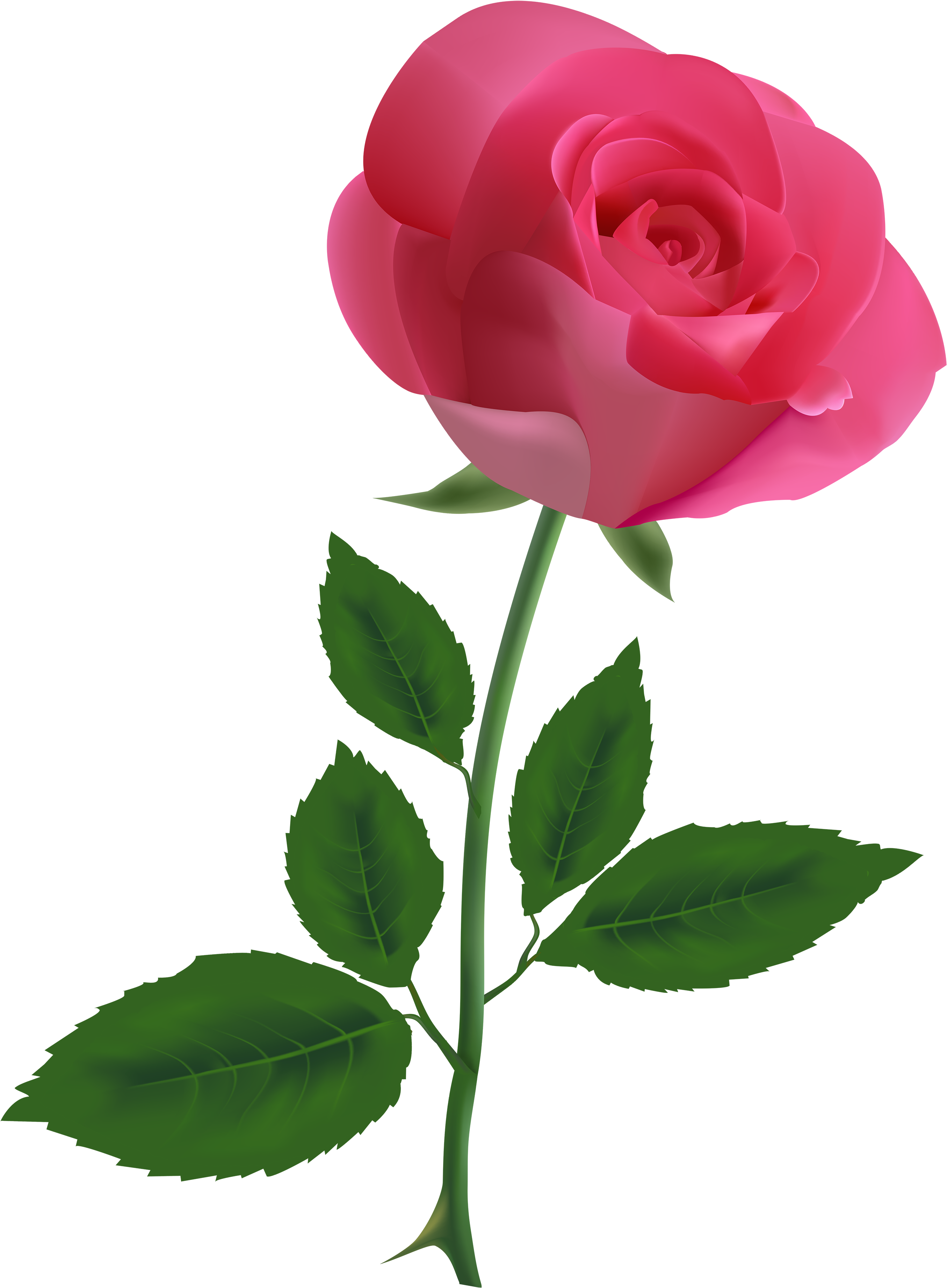 Pink Rose Clipart Png Image - Rose Clipart (2880x4000)