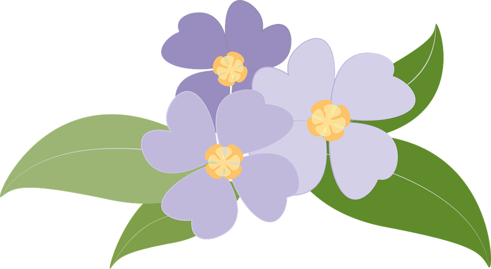 Violet Clipart Flowering Plant - Thank You For The Gift Of Flowers Card (960x526)