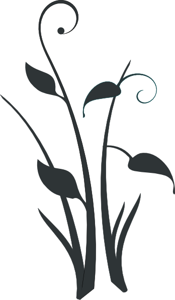 Vectores Hojas Verdes Png (348x597)