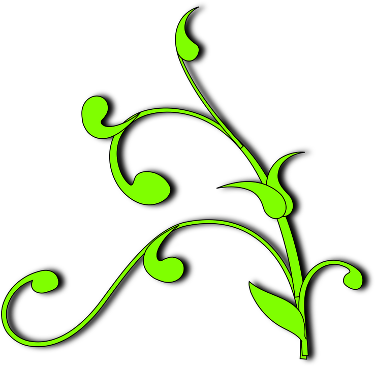 Vine Plant Clipart (738x720)