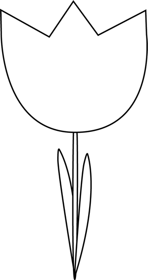 Black And White Tulip - Pink Black White Tulips (292x550)