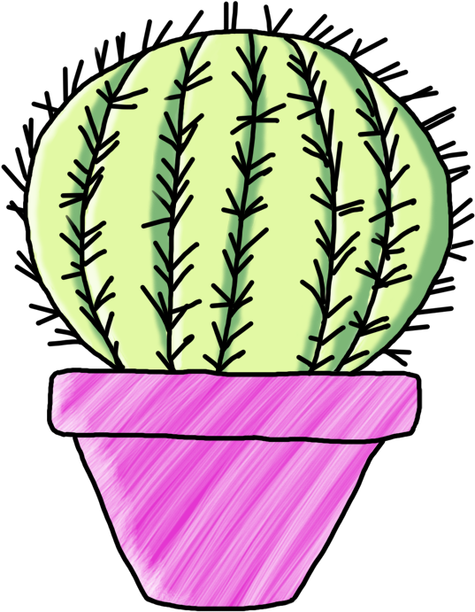 Globular Cactus Line Draw Color - Drawing (629x776)