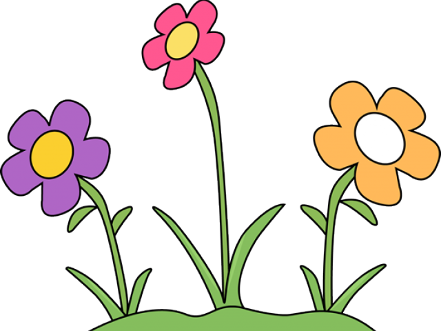 Gardening Clipart Border - Flowers In A Garden Clipart (640x480)
