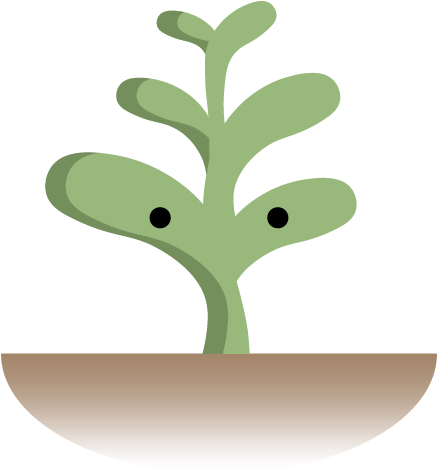 Succulent Plant Icons I Did For A School Project - Shelf (800x800)