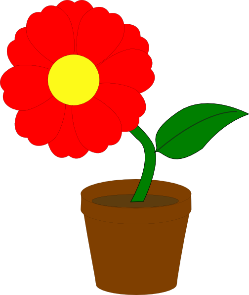 Flower In A Pot (504x596)