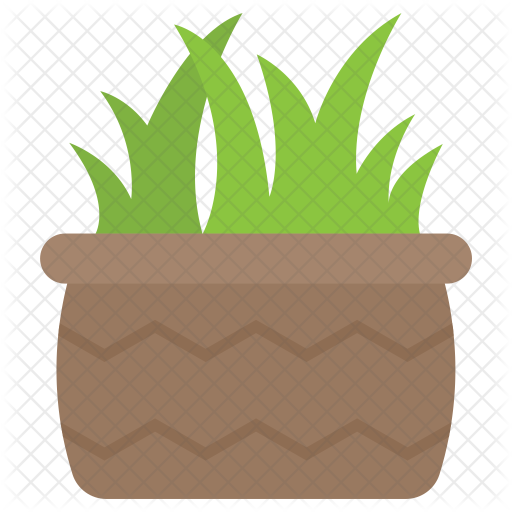 Aloe Vera Icon - Aloe Vera (512x512)