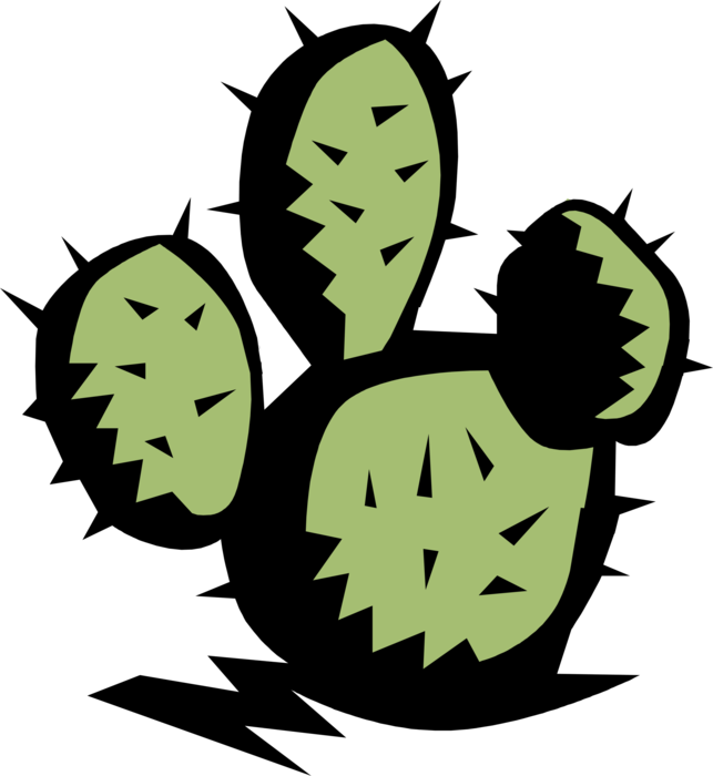 Vector Illustration Of Desert Vegetation Succulent - Nopalito (643x700)