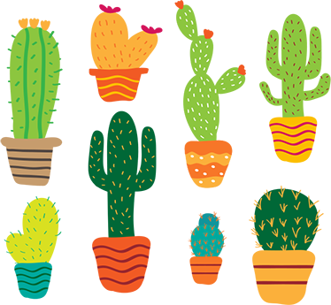 Wall Colour - Cactus Illustrations (374x345)