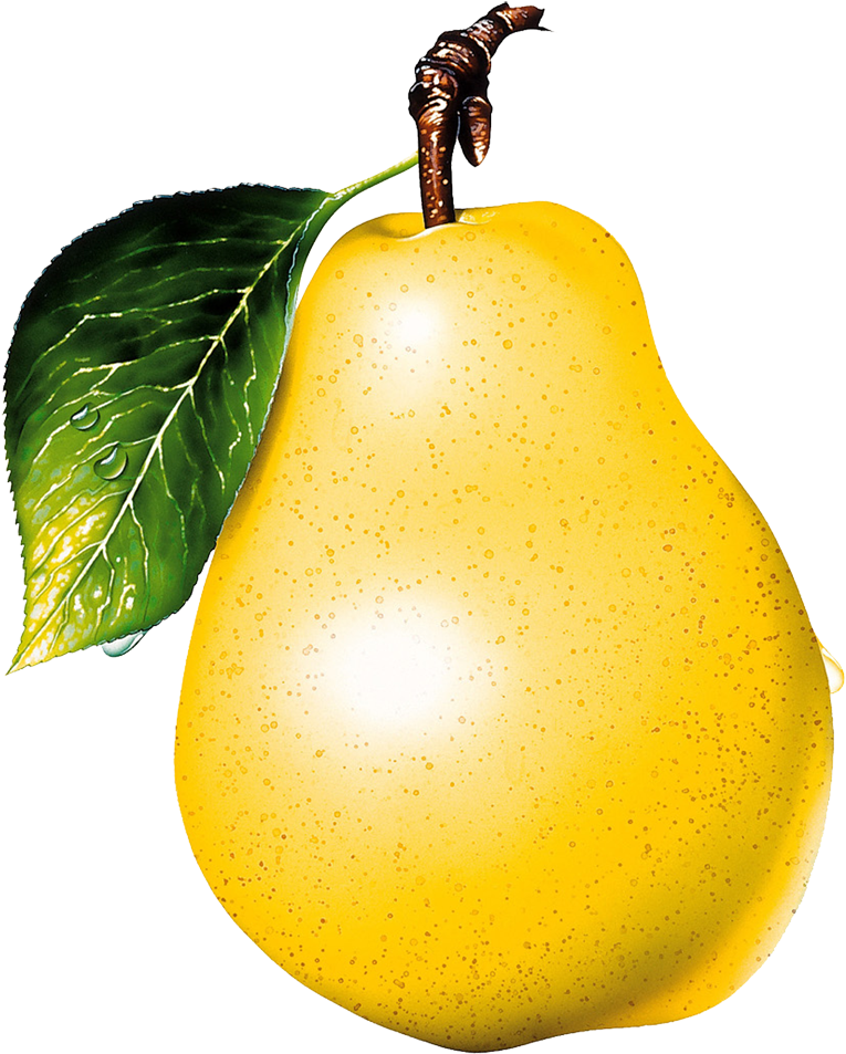 Pear Clipart Transparent - Pear Transparent Background (906x1000)