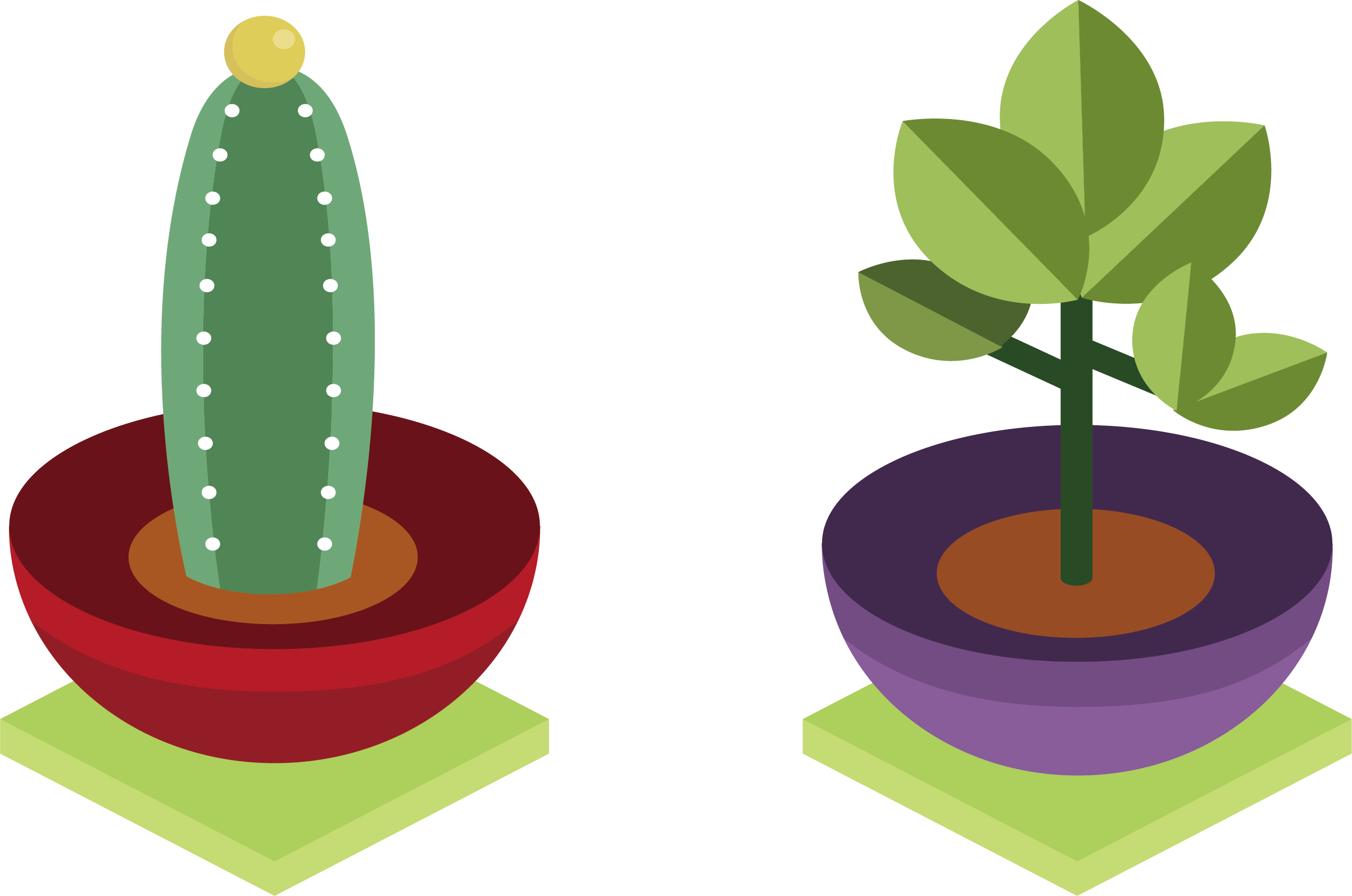 Cactaceae Plant Euclidean Vector - Cactaceae Plant Euclidean Vector (2406x1595)