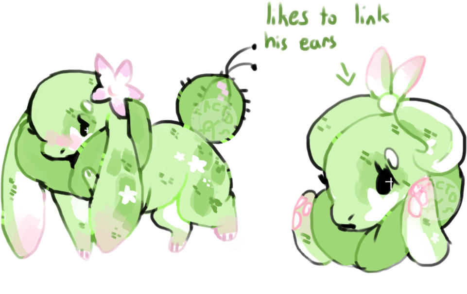 The Shy Cactus By Cactos - Cactus (1024x662)