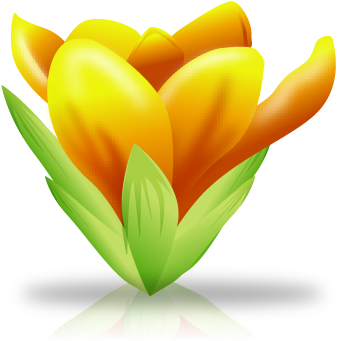 Plant Parts And Functions - Tulip (400x400)