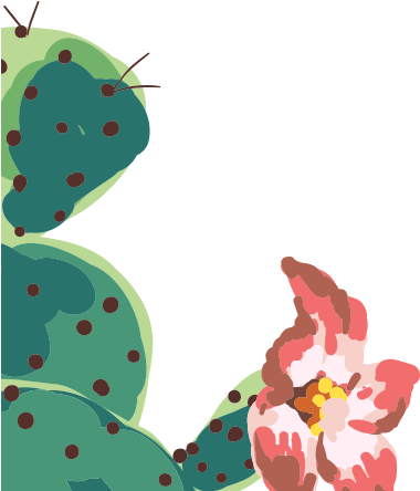 Cactus 500*500 Transprent Png Free Download - Watercolor Painting (500x500)