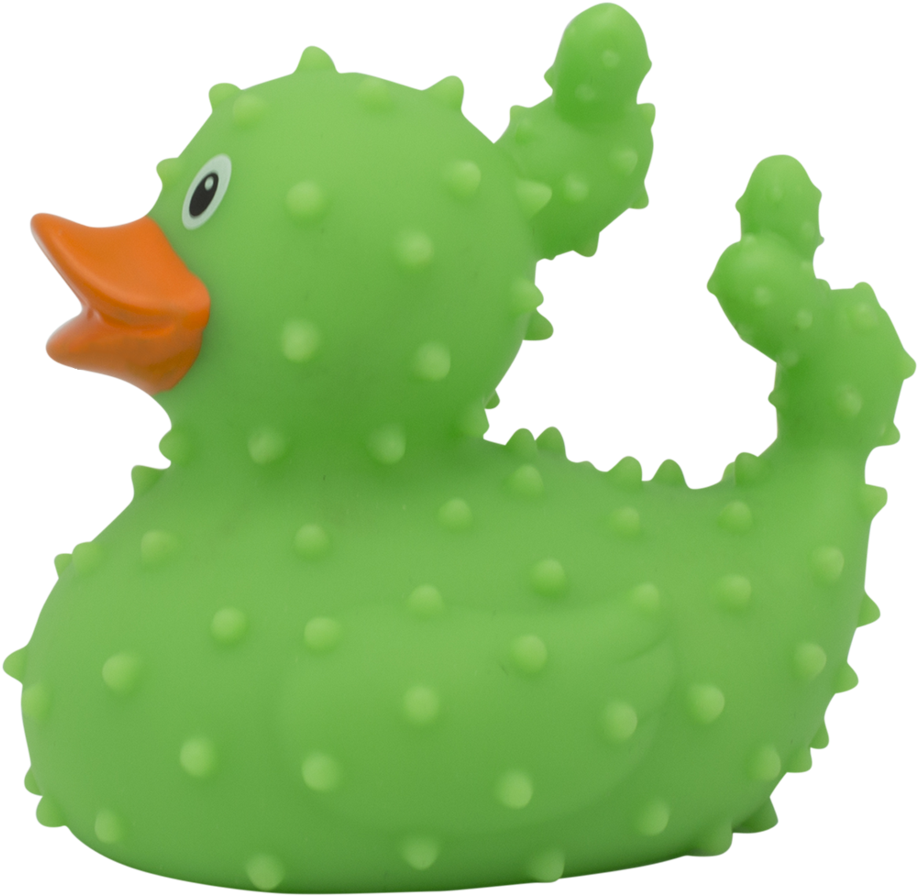 Cactus Rubber Duck By Lilalu - Rubber Duck (1024x1024)