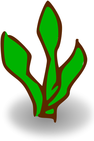 This Free Clip Arts Design Of Rpg Map Symbols - Kelp Clipart (900x900)