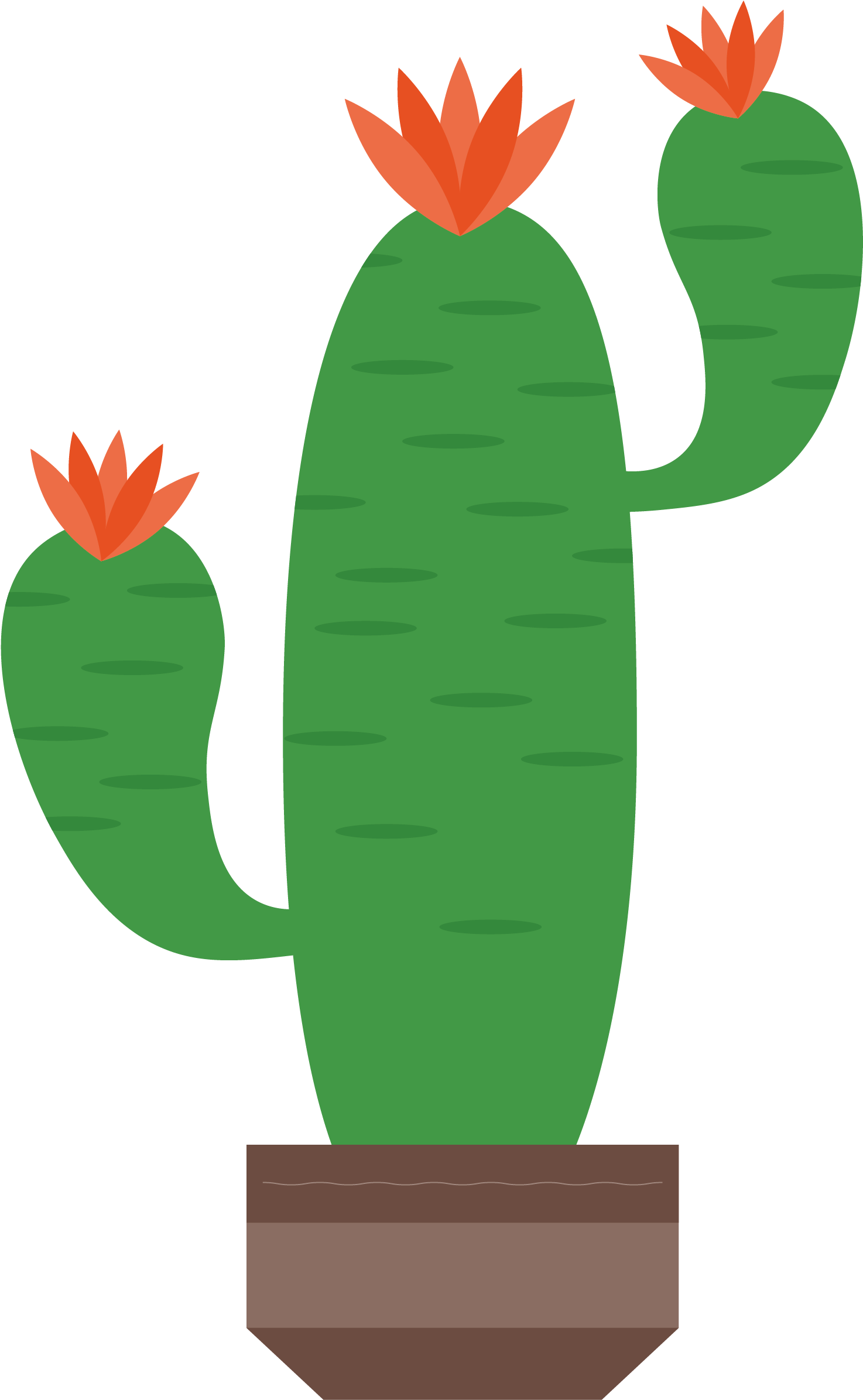 Cactaceae Artworks Illustration - Flowering Cactus Clipart Png (1548x2390)