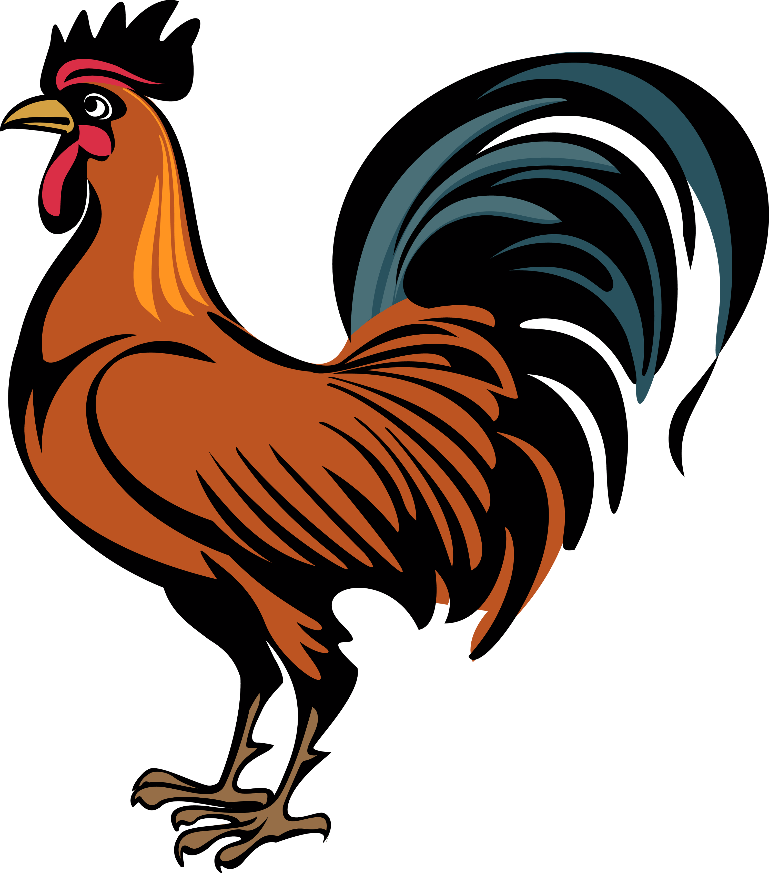 Cock - Cock Png (3000x3405)