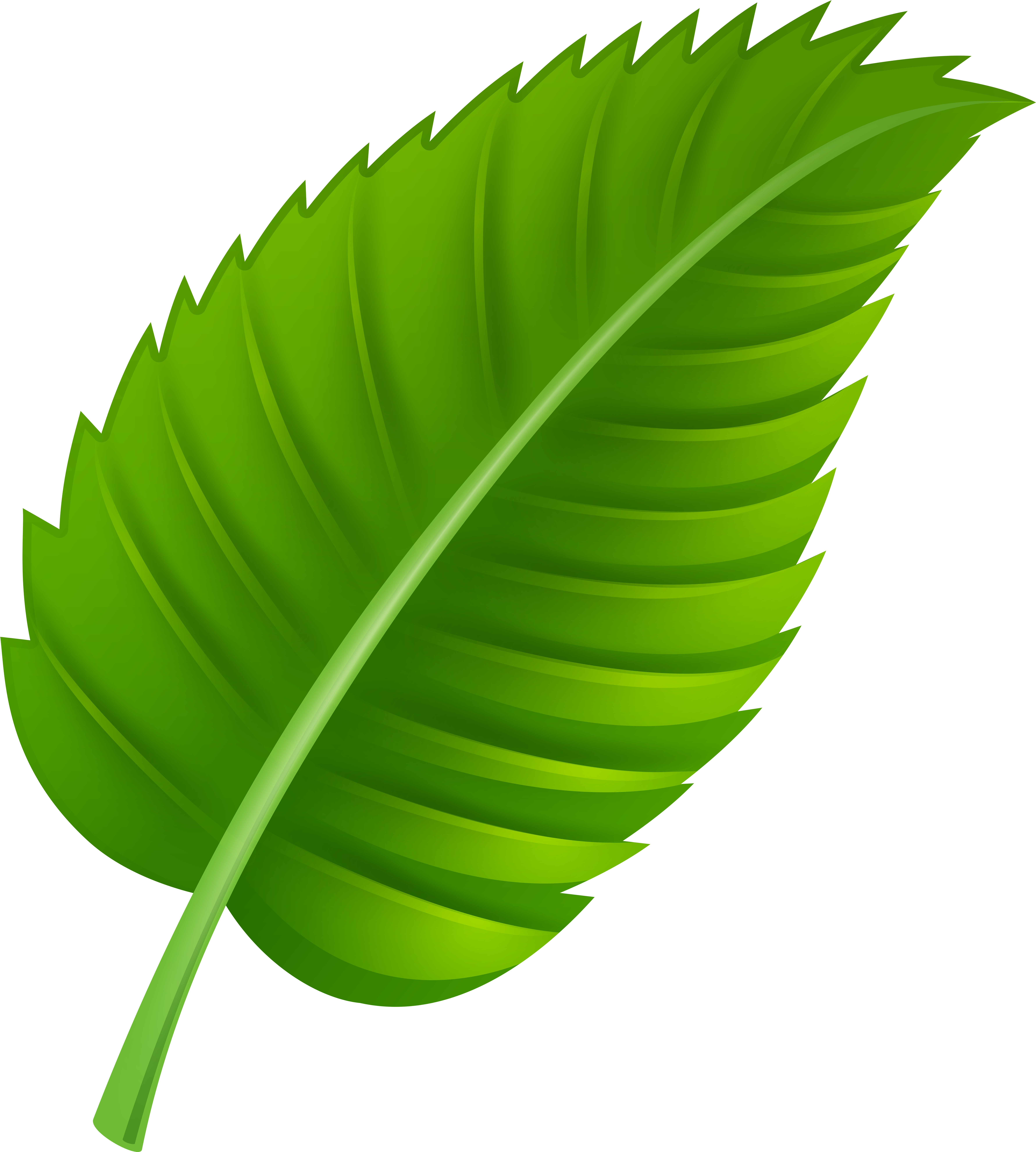 Png pics. Зеленый лист. Зеленые листочки. Векторные листья. Lastok.