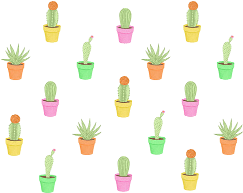 Png Cactus Tumblr - Cactus Colorful Patterns (500x484)