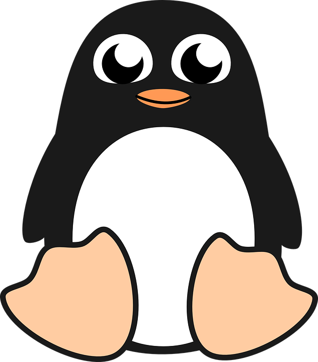 Cute Penguin, Bird, Linux, Tux, Cute - Penguin Clip Art (632x720)
