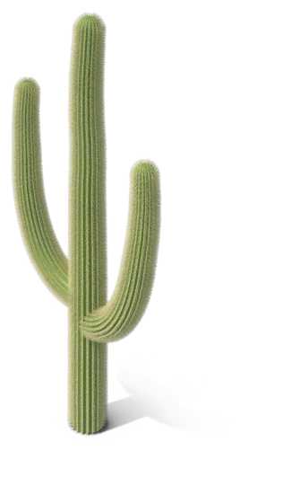 Saguaro Cactus Png Image - Cactus Png (600x600)