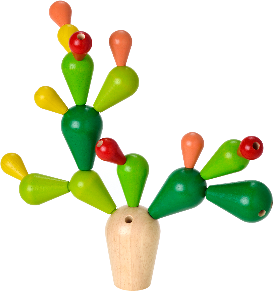 4101 Balancing Cactus - Plantoys Balancing Cactus (1181x1247)