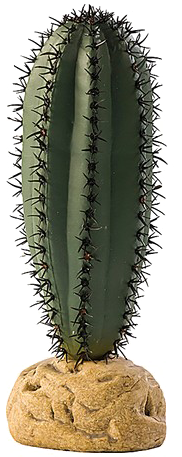 Saguaro Cactus Png High-quality Image - Security Camera Flower Pot (620x620)