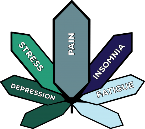 Genetics - Illustration (500x445)