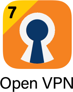 Top 10 Vpn Services - Circle (300x400)