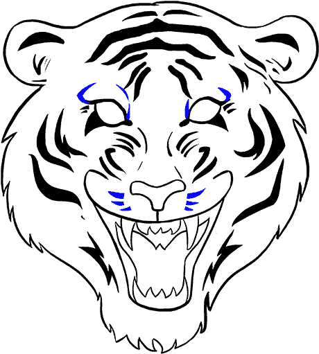 How To Draw A Tiger Face In A Few Easy Steps - Draw A Tiger Face (678x600)