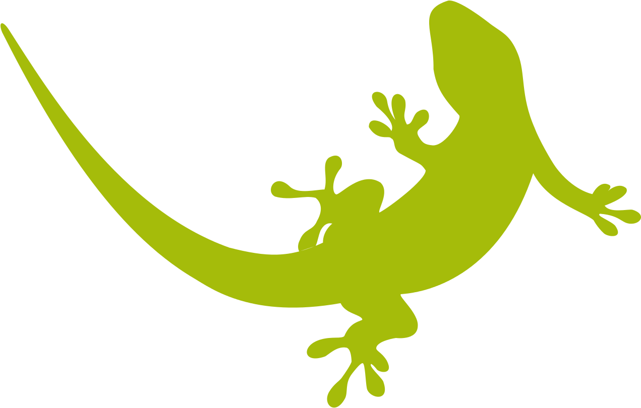 Geckos Png Transparent Image - Transparent Background Reptile Clipart (1280x821)